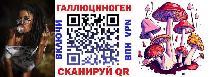 Псилоцибиновые грибы GOLDEN TEACHER Каневская